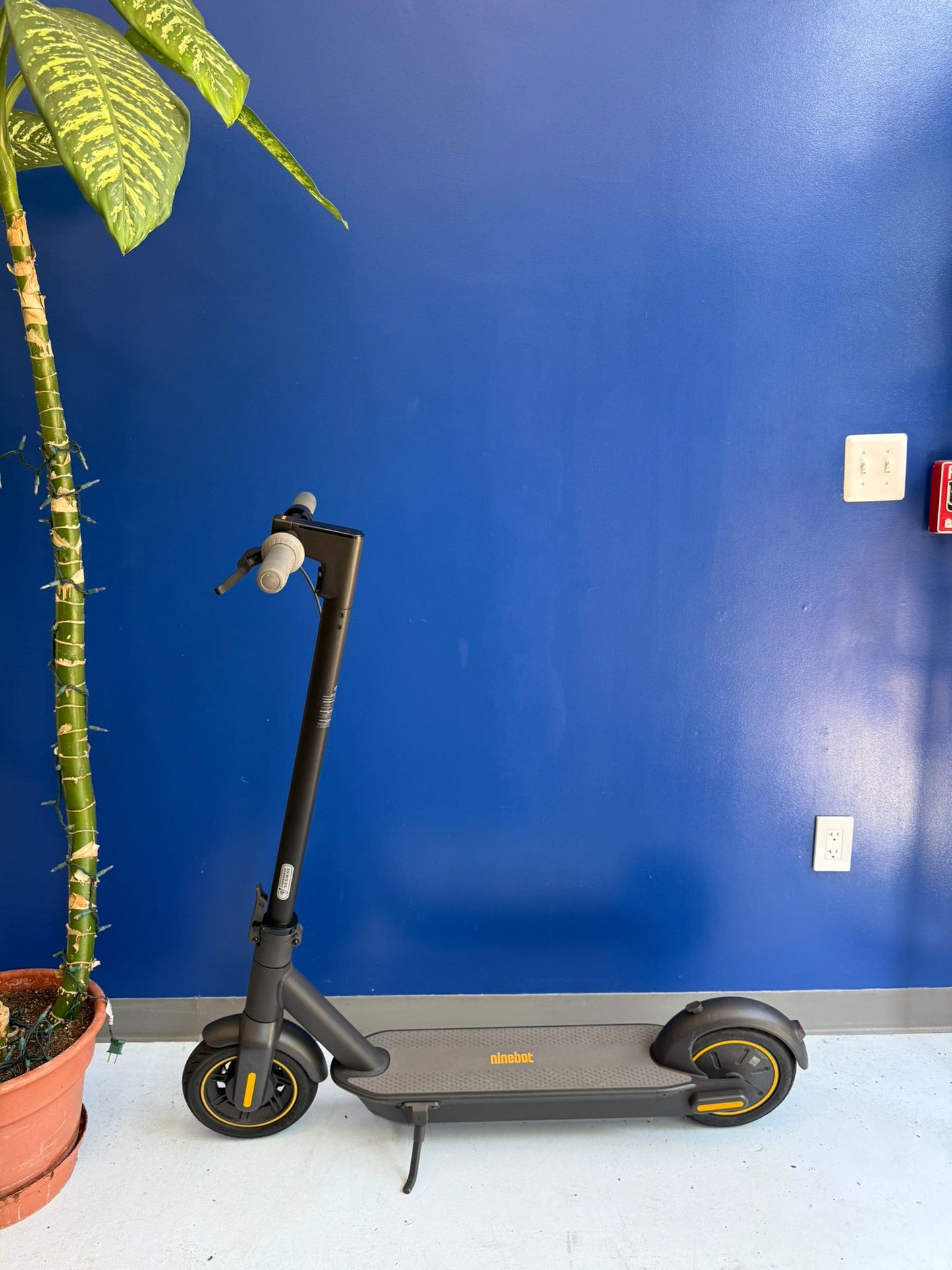 Segway Ninebot G30P-Max
