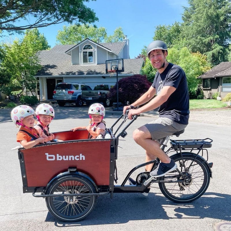 Electric Cargo Bike Rental