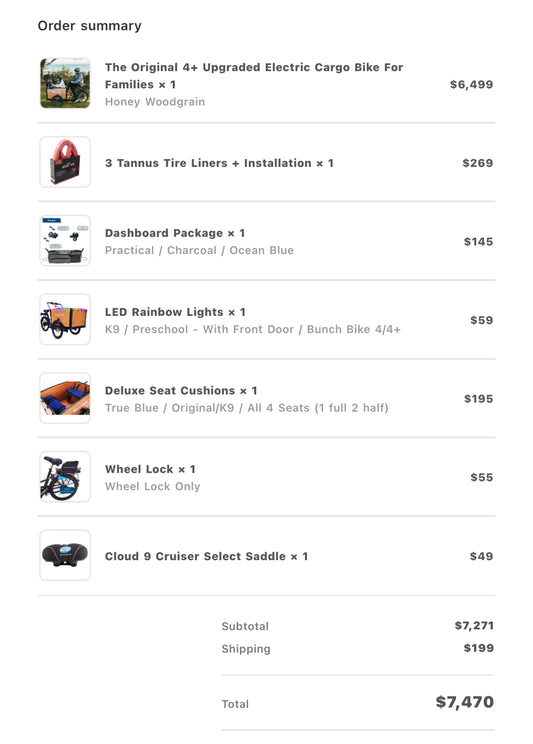 Bunch Bike (4+ Upgraded Electric Cargo)