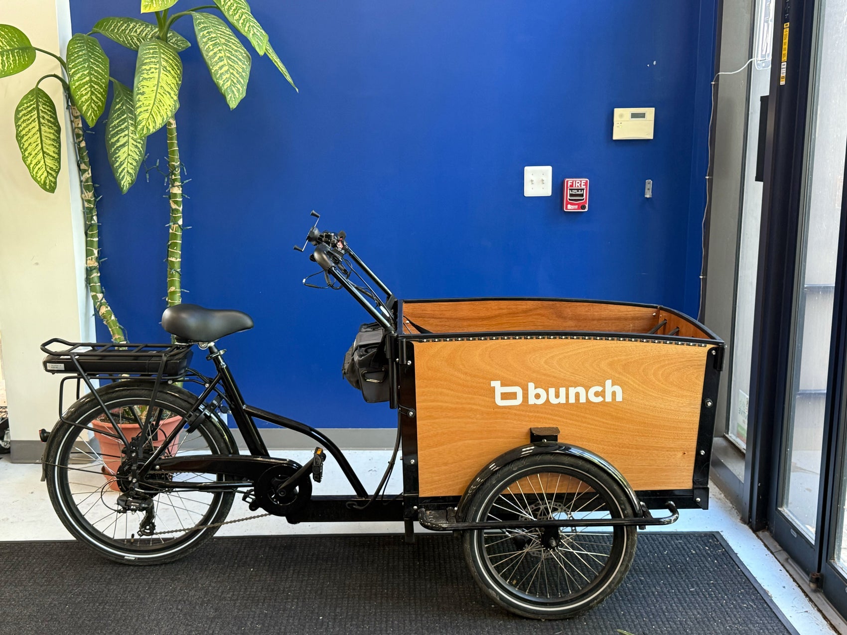 Bunch Bike (4+ Upgraded Electric Cargo)