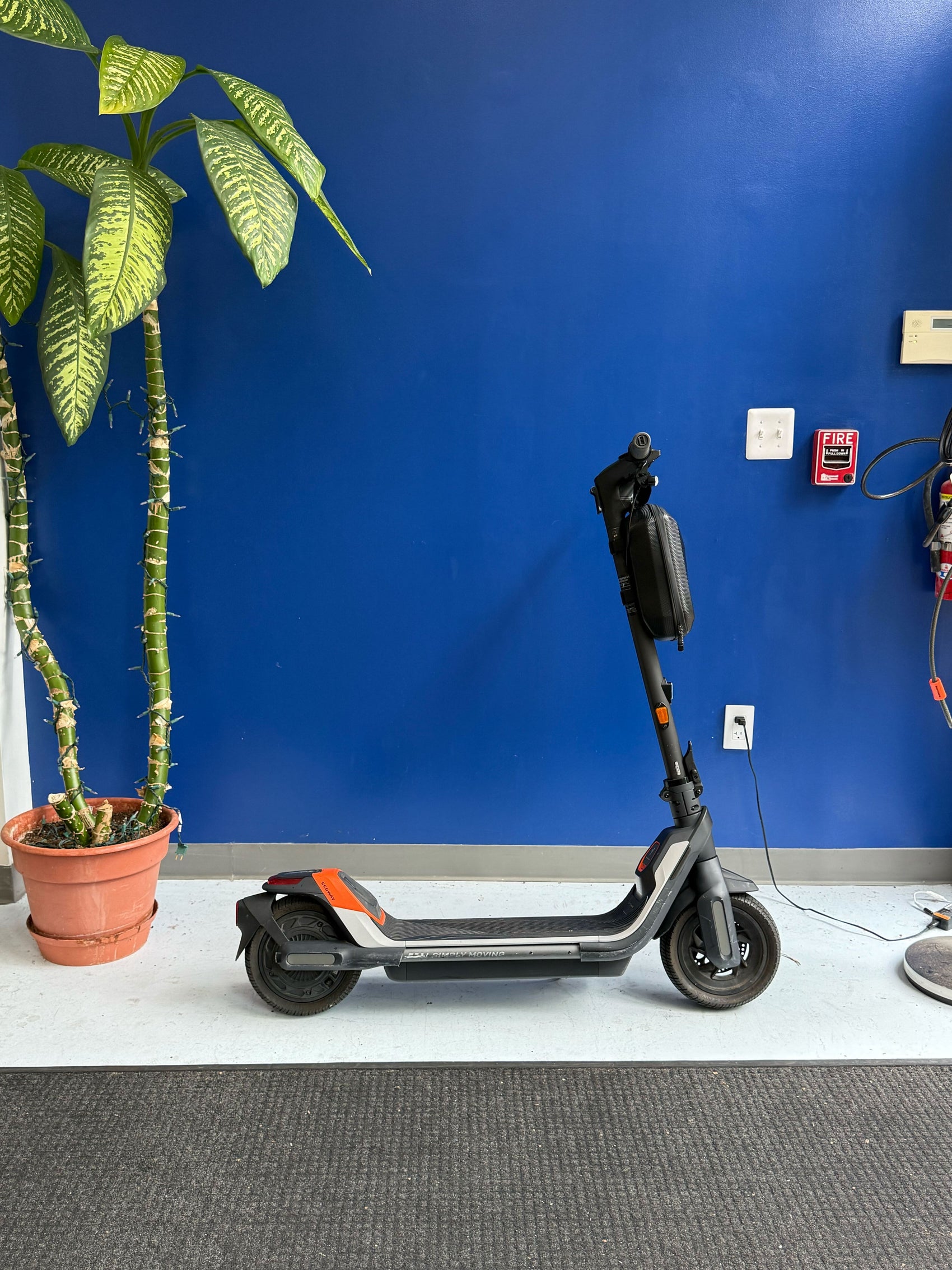 Segway P65