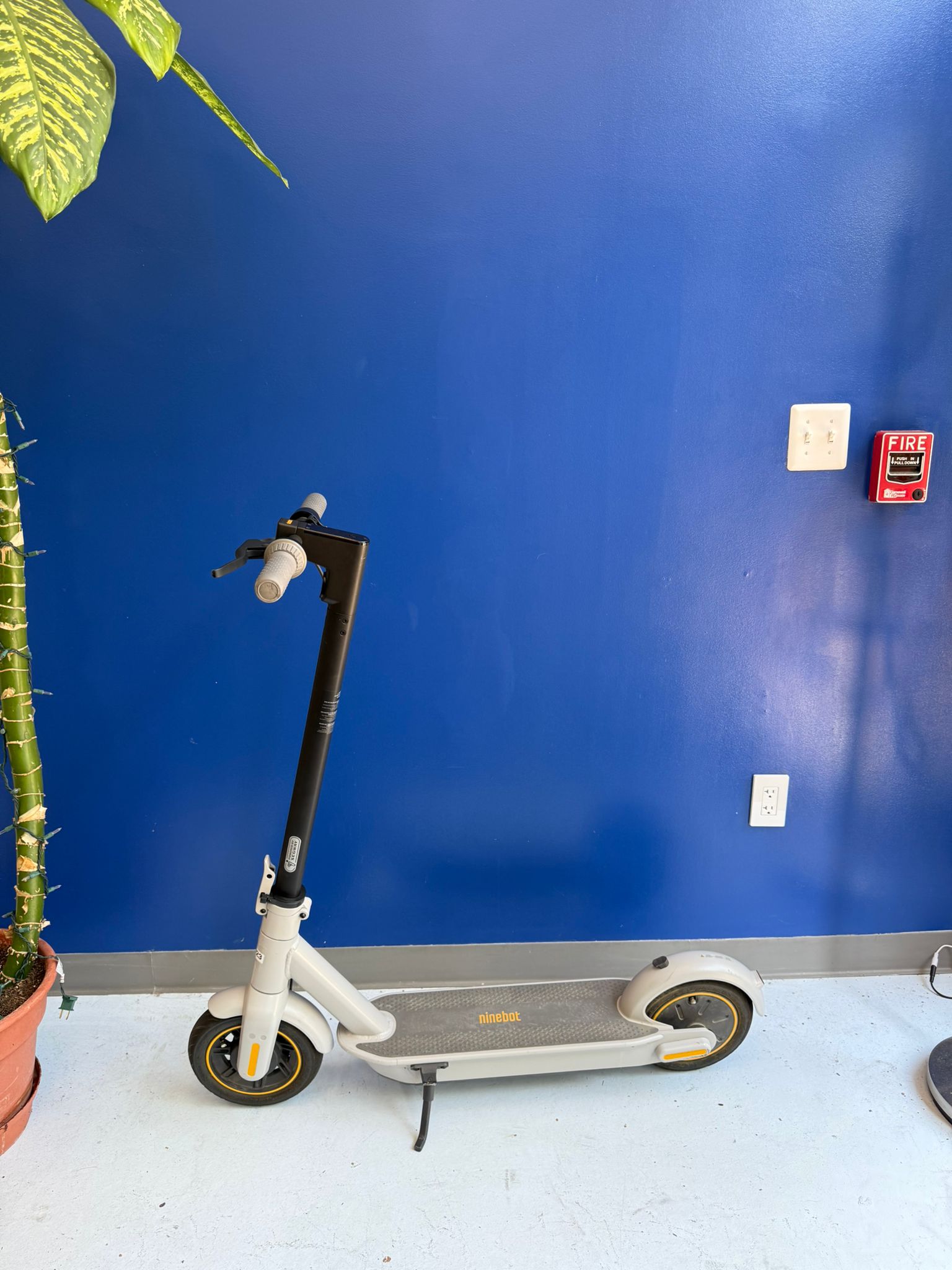 Segway Ninebot G30LP – King Electric Bikes